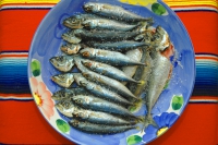 sardines portugal